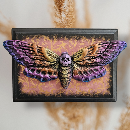 Death's Head Moth Art Plaque